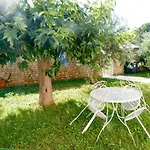 Salvaterra Homestay szállás